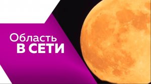 Область в сети №323