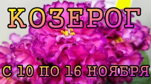 КОЗЕРОГ таро прогноз на неделю с 10 по 16 НОЯБРЯ 2025 года.