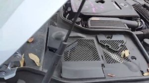 WhatsApp Video 2025-11-06 at 12.48.39