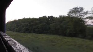 Зелёный Гай. Новоекатериновка. Колосовка. Прекрасное летнее утро. Зарисовки