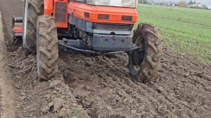 4 ноября 2025. Клубничные балаганы.