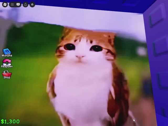 РП Растения против брейнротов