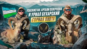 ГОРНАЯ ОХОТА В УЗБЕКИСТАНЕ НА АРГАЛИ СЕВЕРЦОВА