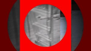 1000039507.mp4 (Собака смотрит на монтаж электропроводки ( по аварийным ситуациям ) в доме А-фрейм)