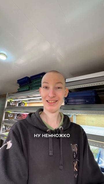 Как заработать на 1 метре? смотреть онлайн