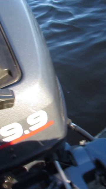 Налетел на топляк!#snorts смотреть онлайн