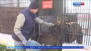 "Вести. Сахалин. Курилы". 6 ноября 2025 года