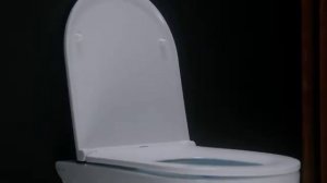 Унитаз подвесной AM.PM Gem