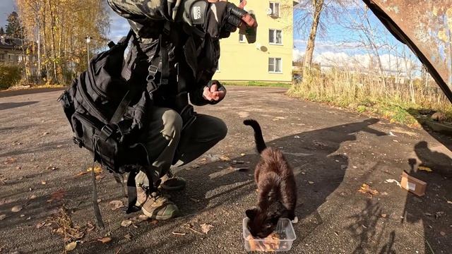 Игрок обжорка,олимпийский салоежка,Надин секрет,Сиплый провокатор,скороспелый муж,в поисках кошки'