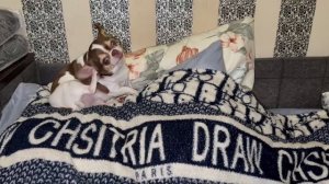 Доброго утречка и чудесной субботы.