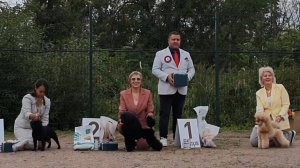 13.09.2025, СПб. Клуб "Невский Дебют" (РКФ, РФСС). Выставка собак CAC 9 группы FCI