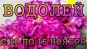 ВОДОЛЕЙ таро прогноз на неделю с 10 по 16 НОЯБРЯ 2025 года.