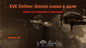 EVE Online: охота на пиратов в лоусеках — Gnosis снова в деле
