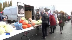 Уфимцев приглашают на сельскохозяйственные ярмарки