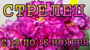 СТРЕЛЕЦ таро прогноз на неделю с 10 по 16 НОЯБРЯ 2025 года.