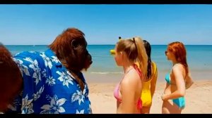 Орангутан пляжный бездельник.Приколы с ИИ ai юмор_processed