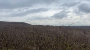 д. Перхурово ул. Садовая