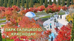🍁 Парк Галицкого в ноябре. Краснодар