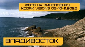 E81 Владивосток. Фото на кинопленку Kodak Vision3. Корифена (махи-махи), окунь Шлегеля.