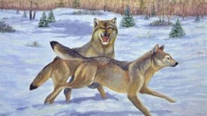 Охота с вертолётов