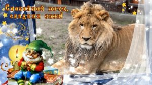 Друзьям Шерханчика, спокойной ночи!