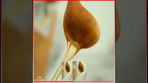 MƏLƏKLƏR. 👑👑🙏🙇❤️❤️❤️🌙🌙🌙✨ #LEYLAALIYEVA #ARZUALIYEVA