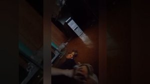 УЛЫБАЮЩИЙСЯ КОМНАТА. ПО СЛЕДАМ ПРОПАВШИХ ДЕТЕЙ. ЧЕБУРАШКА И ТИГР В МИРЕ УЛЫБАЮЩИЙСЯ КОМНАТЫ