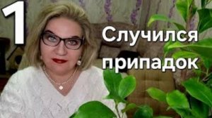 Случился припадок❗️