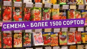 ТРАНСМЕДИА – Садовый центр Дарвин