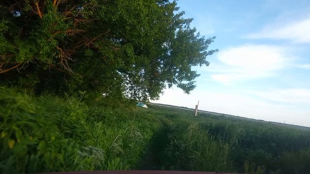 Опустевшее село Моршань (Моршань-Лядовка). Инжавинский район Тамбовский район (3).