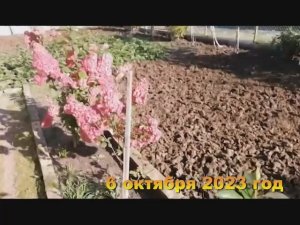 7 соток. Хроника  Дача Октябрь 2023 год