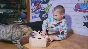 Для БАРСИКА 😺