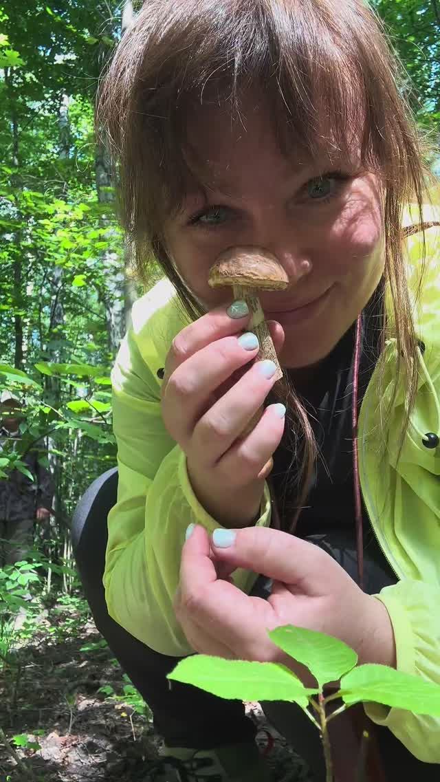 Собираем грибы и пьем чай в лесу. А вы как отдыхаете? #отдых #релакс  #тахаяохота #лес #погрибы смотреть онлайн