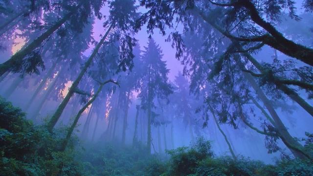 A playlist for empty benches..