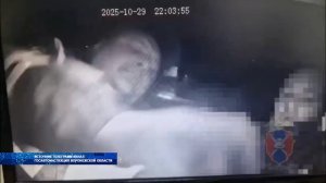 По сводкам о задержании пьяных водителей можно изучать географию