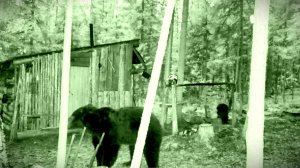 МЕДВЕДИ ХОДЯТ ВОКРУГ ИЗБЫ! СТРОИМ СОЛОНЦЫ, КОТОРЫЕ РАБОТАЮТ.