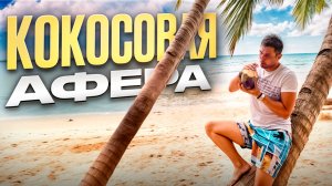 Жесткий кокосовый бизнес в Майами [Другая сторона США]