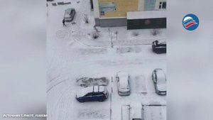 Нападение лисы на жительницу Новосибирска попало на видео