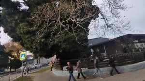 Керчь. Проездом по городу.