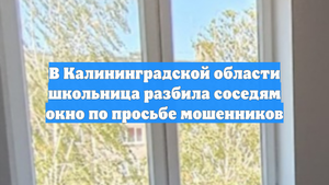В Калининградской области школьница разбила соседям окно по просьбе мошенников