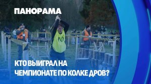 Пером и топором. Как прошел IV Чемпионат по колке дров среди СМИ? Панорама