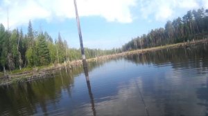 Поклевка щуки на щуку на озере которого больше нет