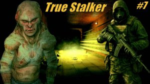 Прохождение S.T.A.L.K.E.R - True Stalker Серия 7 Хозяин Подземелья