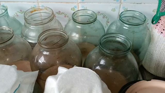 снова заливаю чайный гриб комбуча 30л чаем, как завариваю и настаиваю, пропорции и количество сахара смотреть онлайн