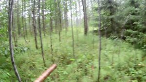 Путешествие по Кольскому полуострову. Часть первая. На пути к Кольскому.