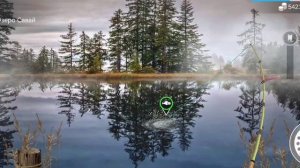 Как поймать карась обыкновенный в игре My Fishing World