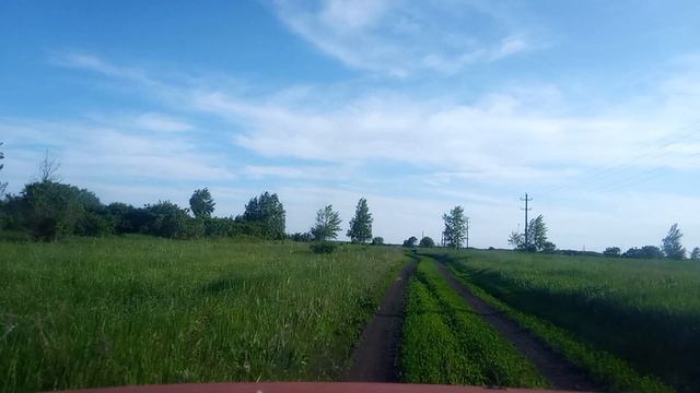 Опустевшее село Моршань (Моршань-Лядовка). Инжавинский район Тамбовский район.