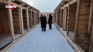 Продолжается обустройство временного муниципального приюта