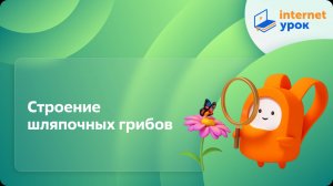 Окружающий мир 1 класс. Строение шляпочных грибов