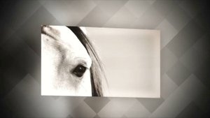 Jason Edward Dudley - Epoch 2014